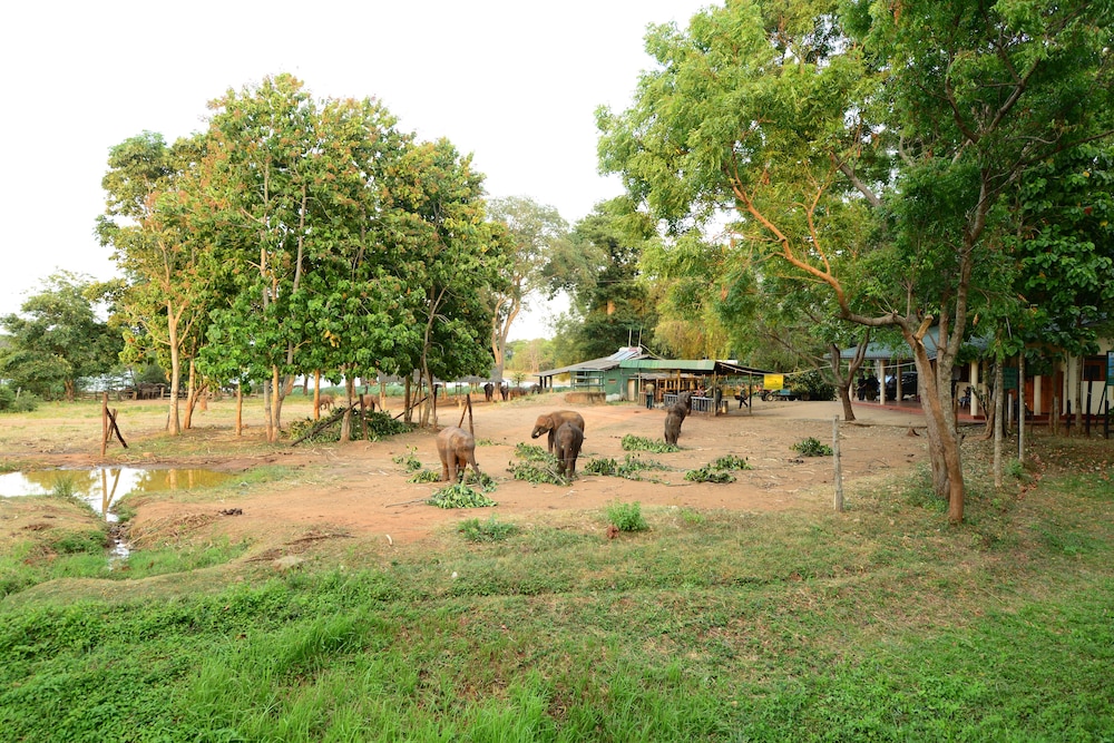 Nil Diya Mankada Safari Lodge