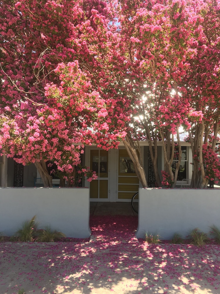 The Lincoln Marfa
