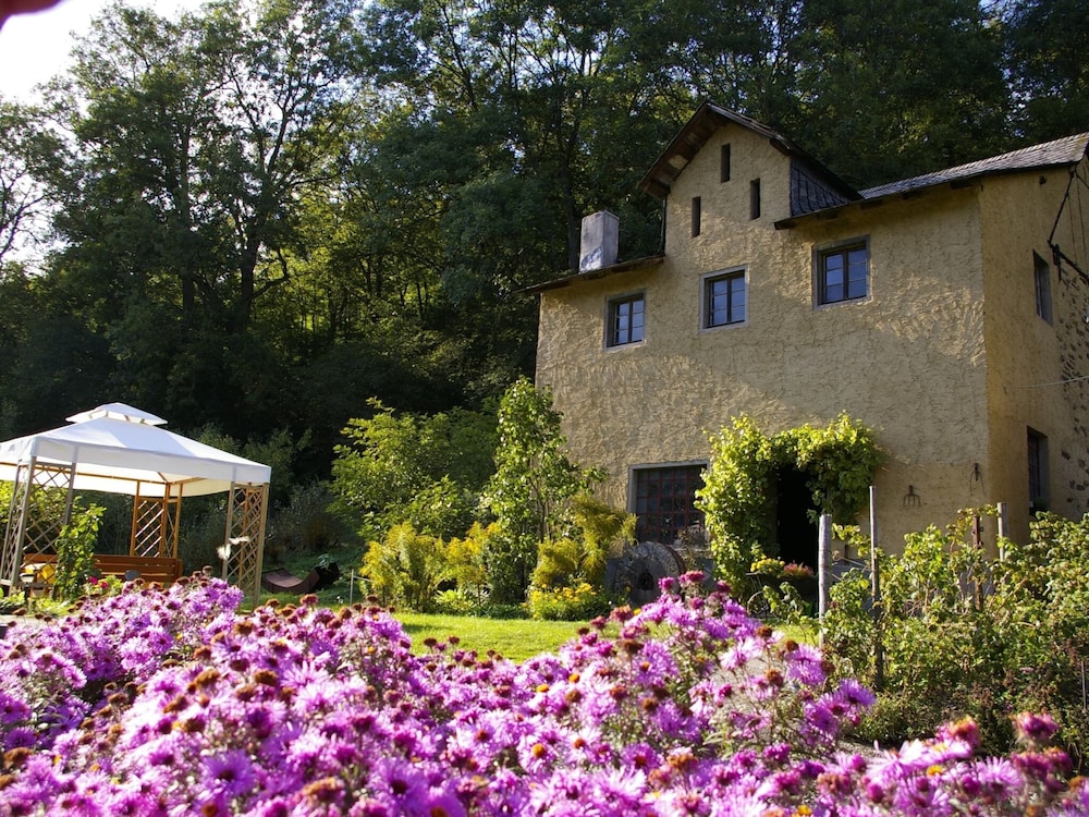 Idyllic Studio Apartment Near Kaifenheim and Near the Forest - Property Image 7