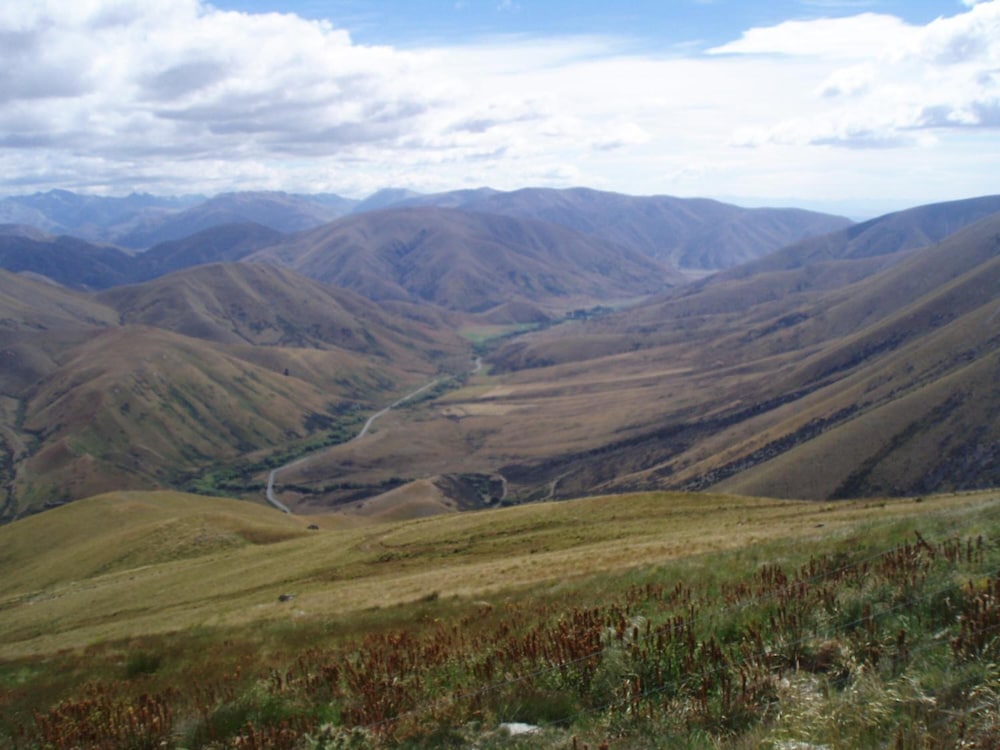 Dunstan Downs High Country Sheep Station