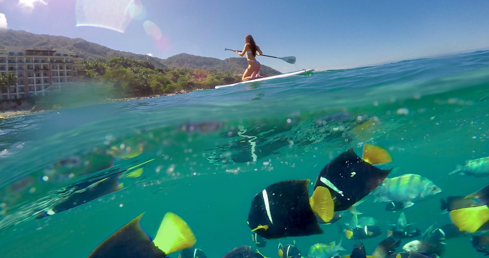 Puerto Vallarta Vacations - Garza Blanca Preserve Resort  Spa - All Inclusive - Property Image 72