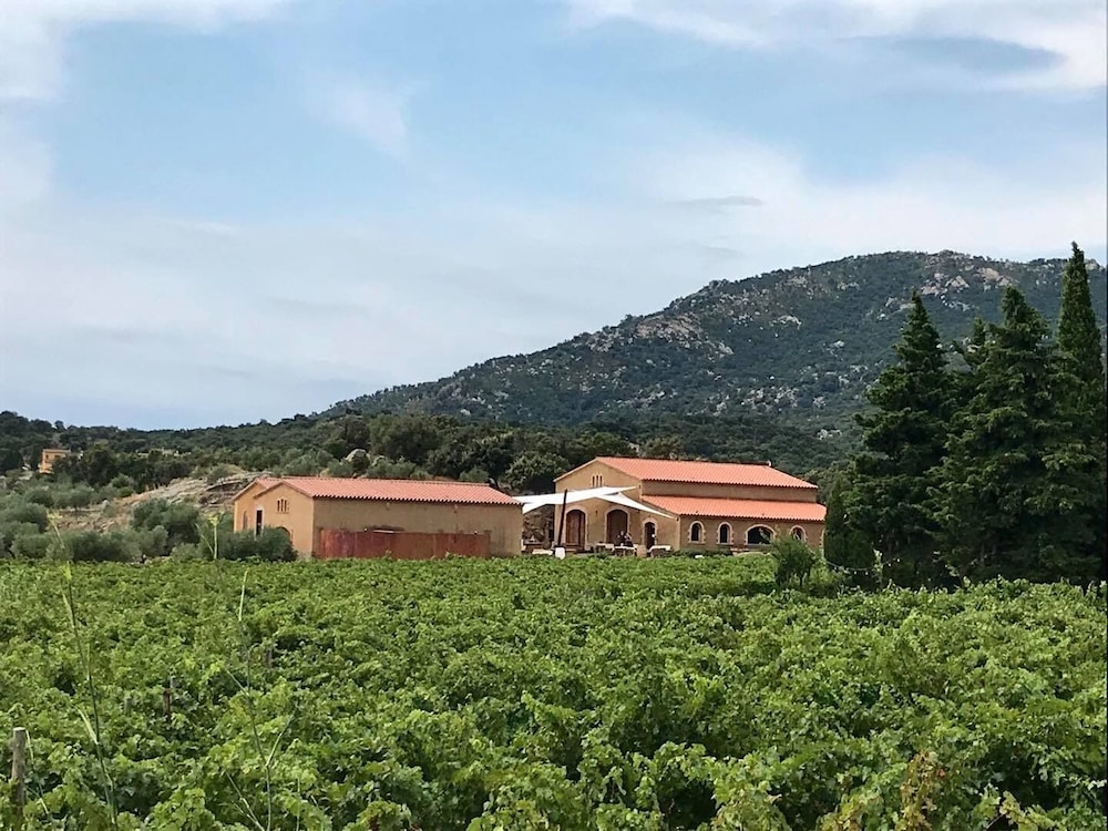 El Recer de Masia Serra - Adults Only view 4