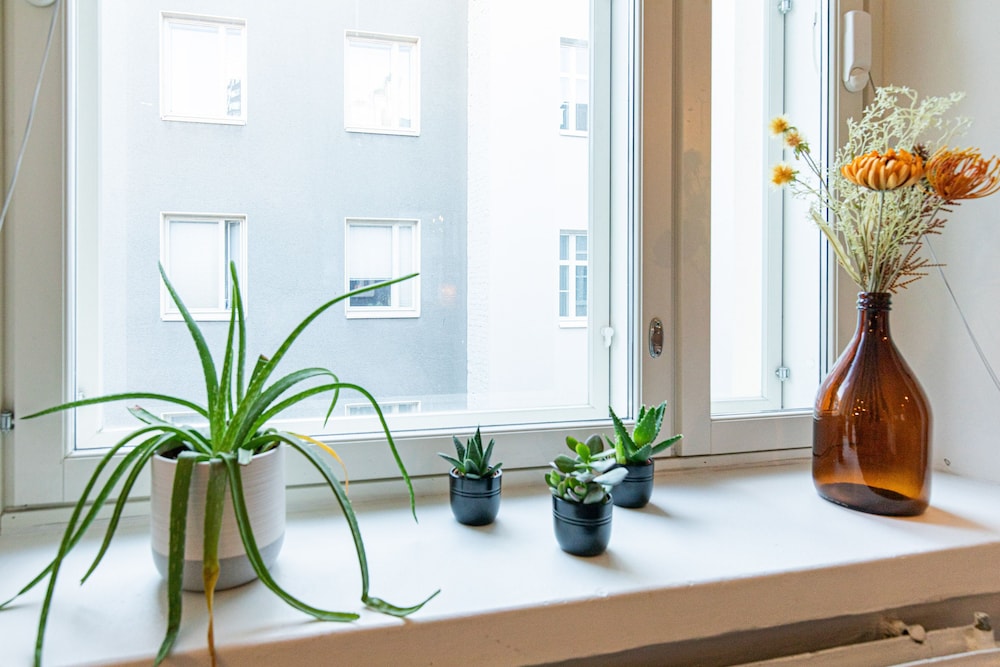 Cozy & Homelike Downtown Studio at Great Location view 2