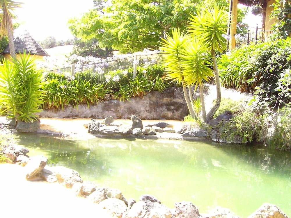 Photo 32