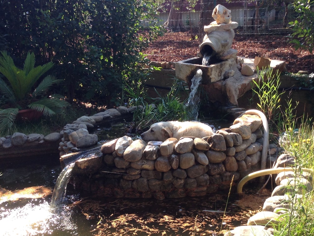 Photo 51