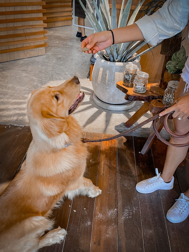 Hotelito Azul - Property Image 147