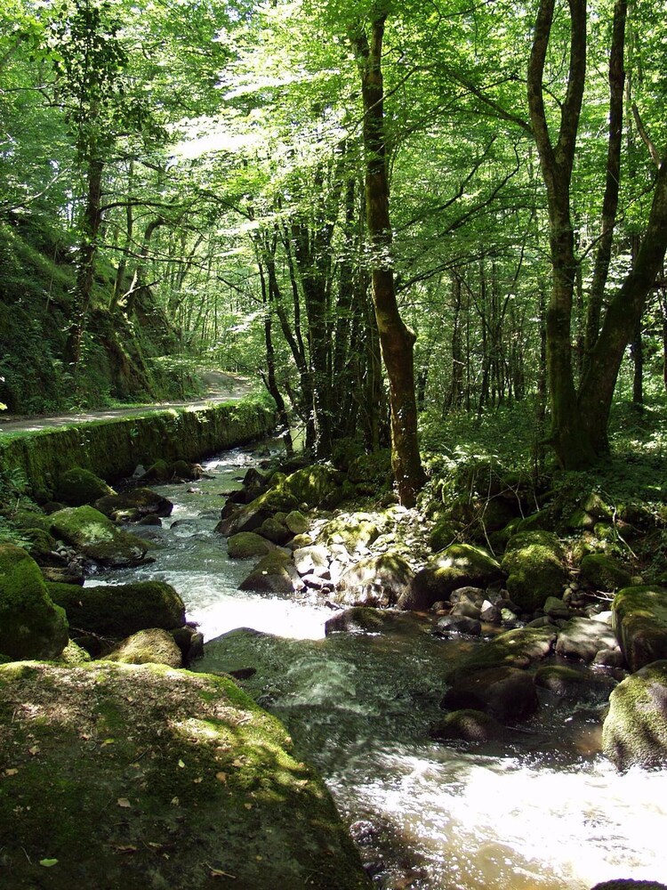 Photo 20