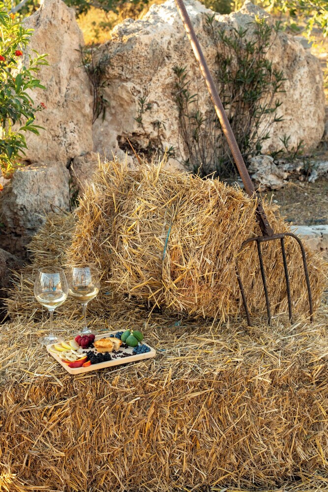 Masseria Borgo Monaci - Gallipoli