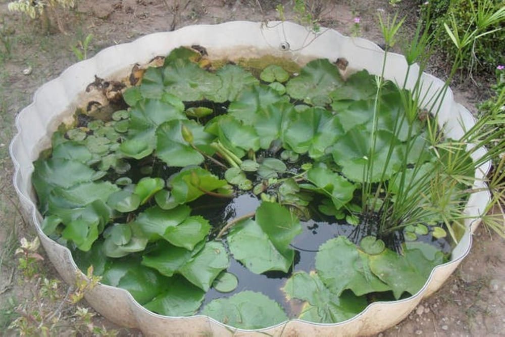 Garden Roomz Oman