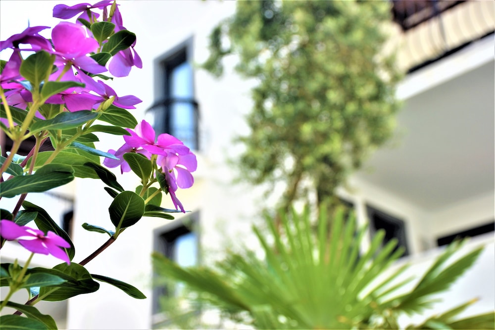 Modern Life Bodrum Otel - Image 13