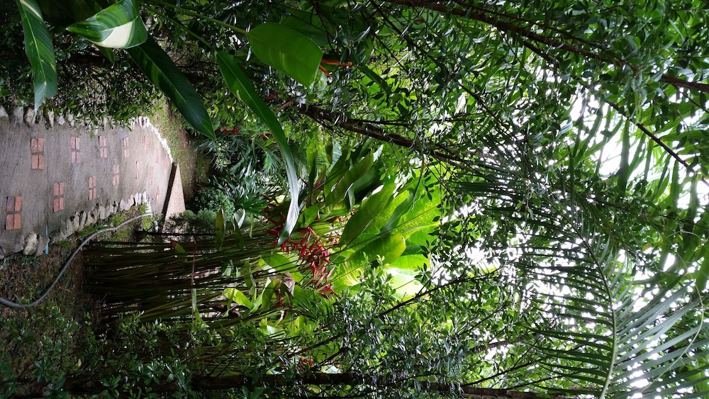 Hotel Khao Sok & Spa