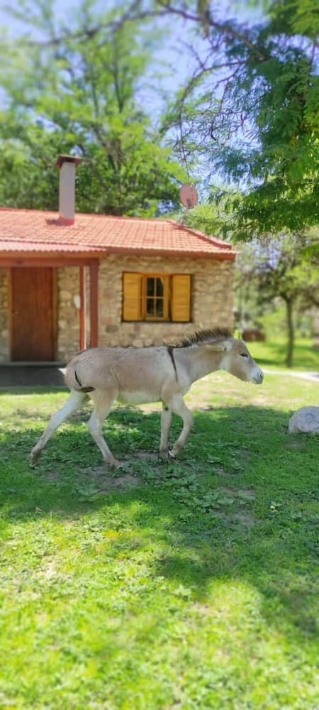 Cabañas La Morada