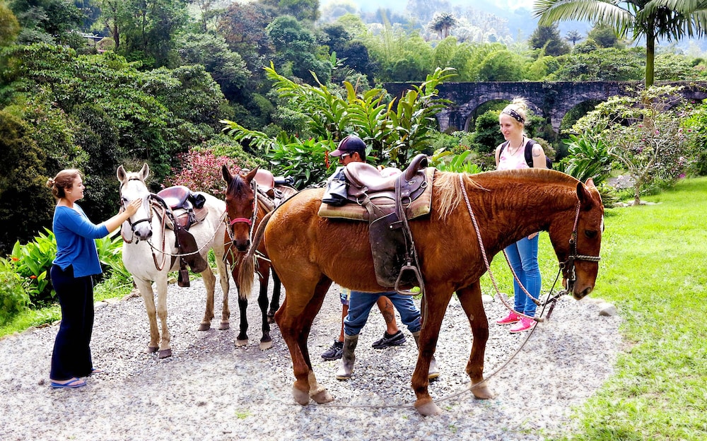 Refugio Puente Explanacion Ecolodge