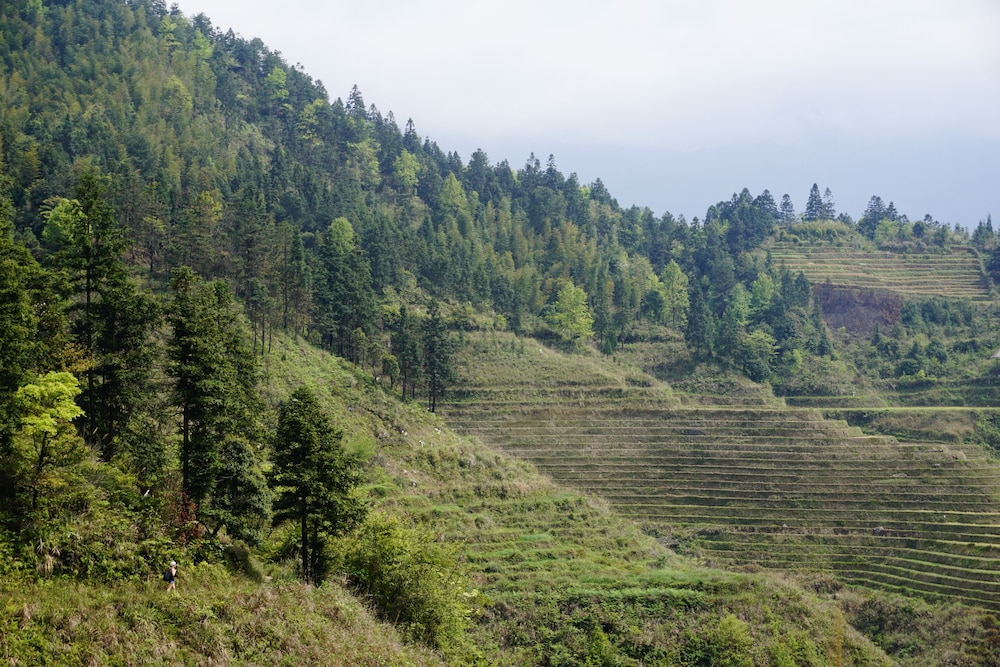 Longji Rice Terraces Hostel