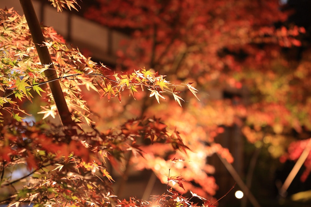 Machiya AOI KYOTO STAY AOI Suites at Nanzenji