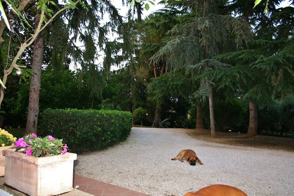 Green Oasis B&B