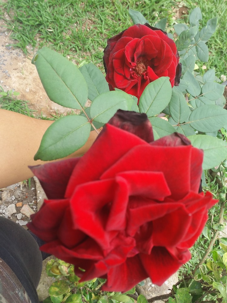Photo 48