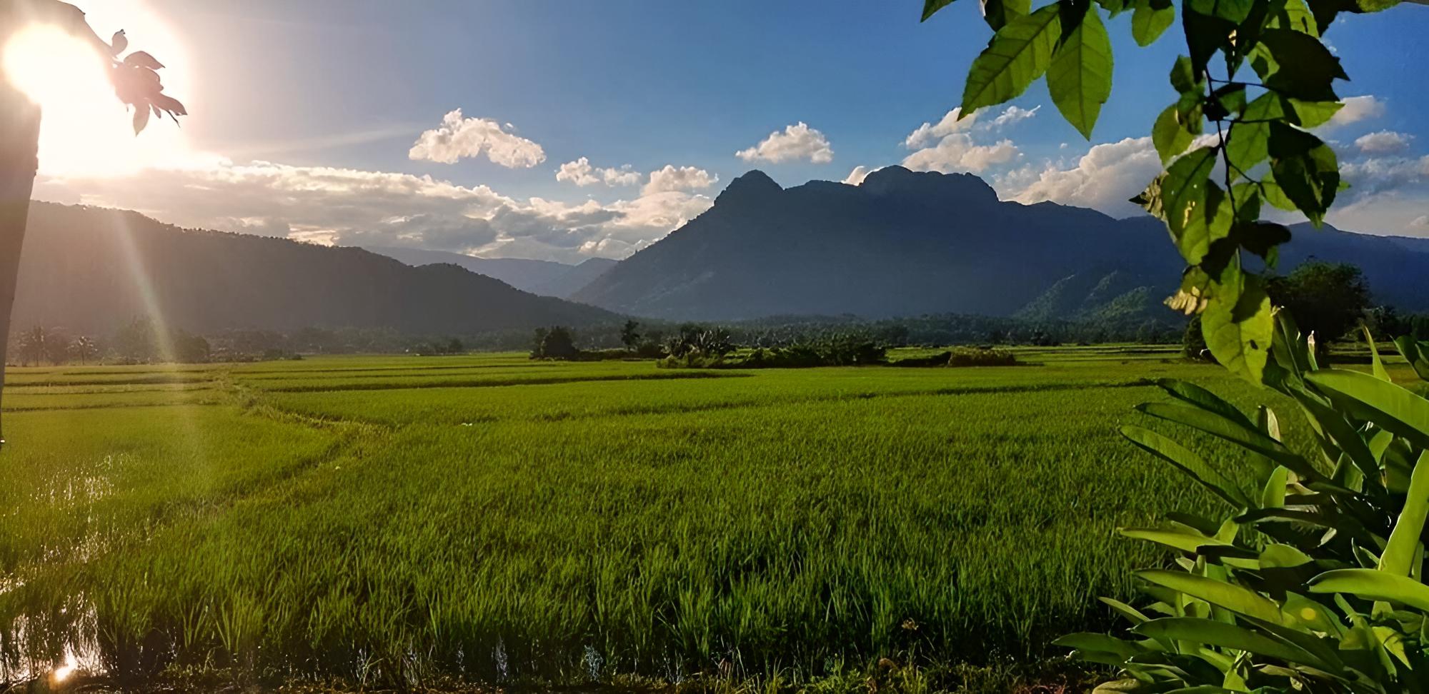 Le Kuna Farm Stay