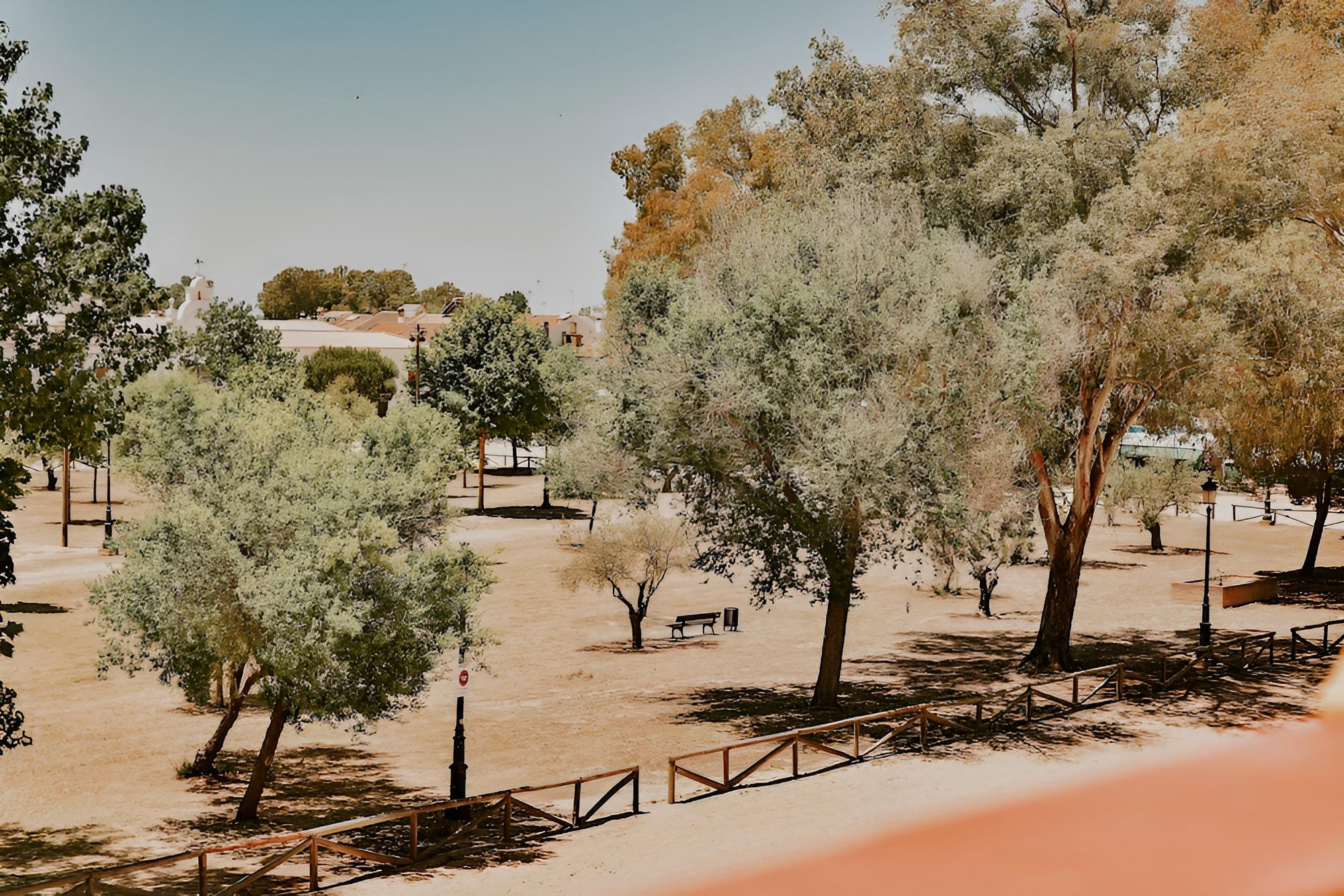Casa Rural Doñana 51