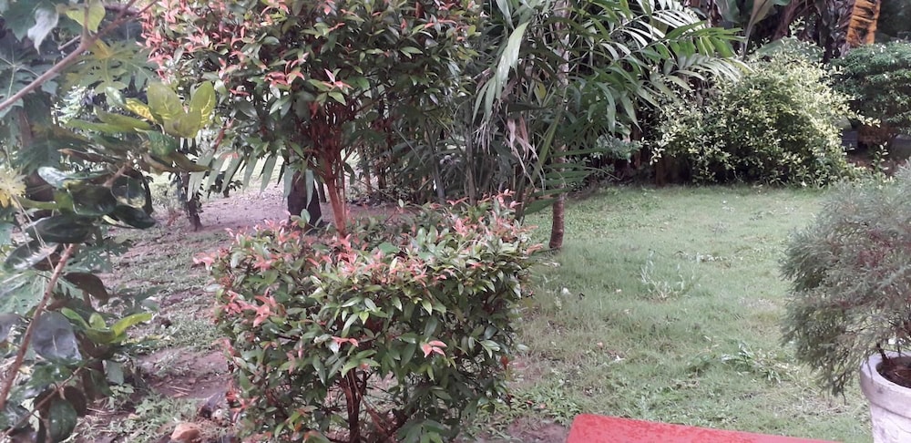 Photo 33