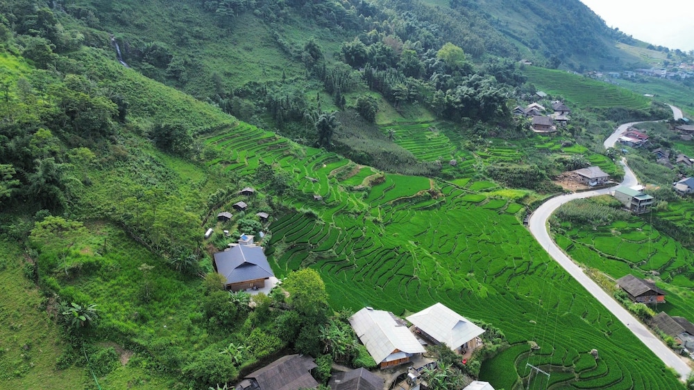 Bees Homestay Sapa & Trekking