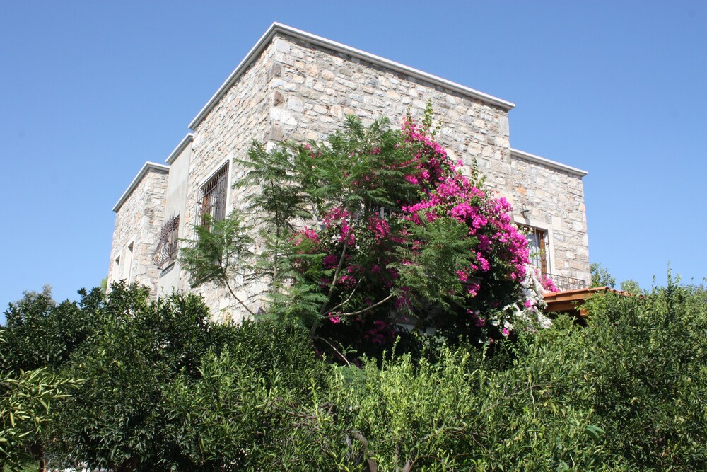 Photo 43