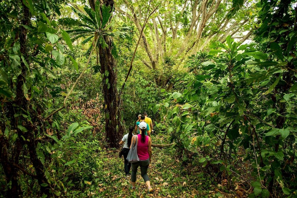 Isla Palenque Member of the Cayuga Collection