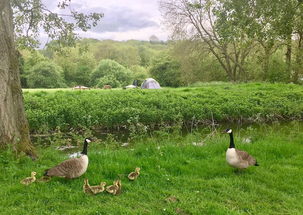 Cotswolds Camping at Holycombe