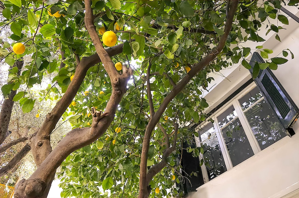 Athens Green Apartments