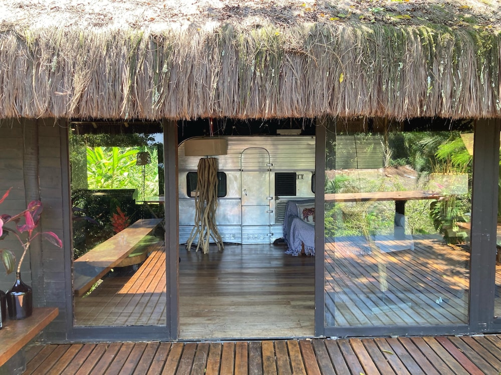 Rainforest Paradise