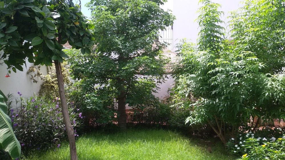 Photo 43