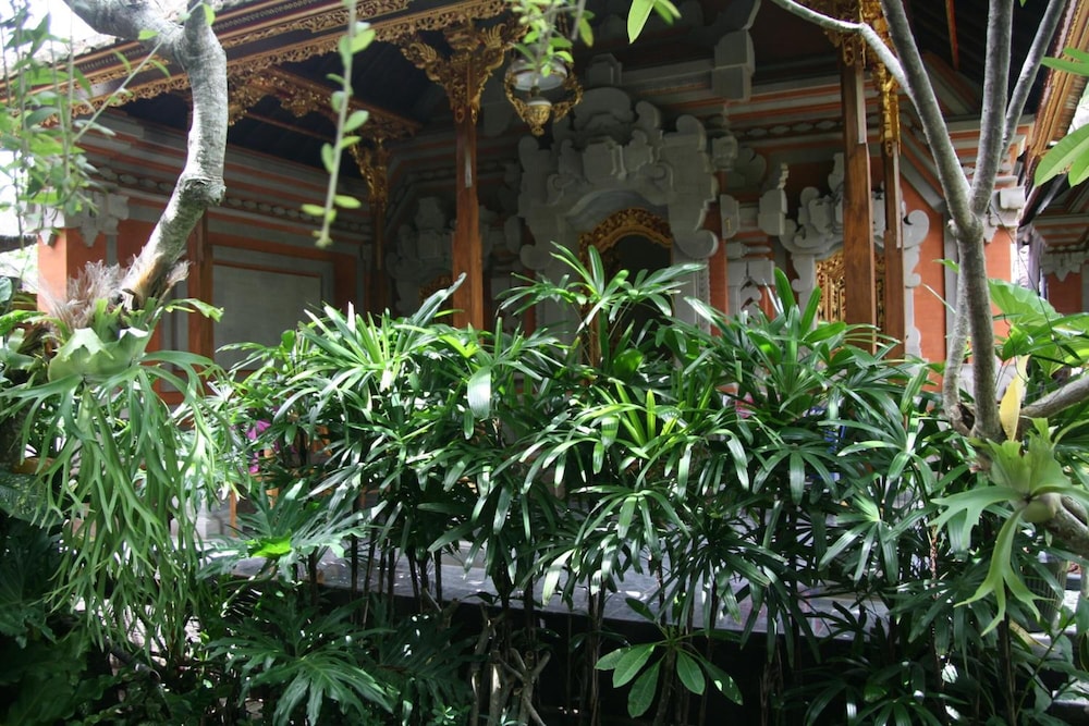 Photo 42