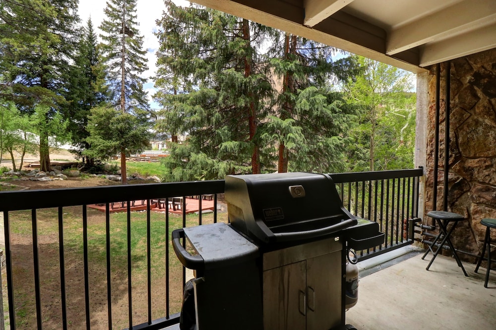 Amazing Ski-In Ski-Out Condo, Pet Friendly - Very Spacious - CM236 by RedAwning view 5