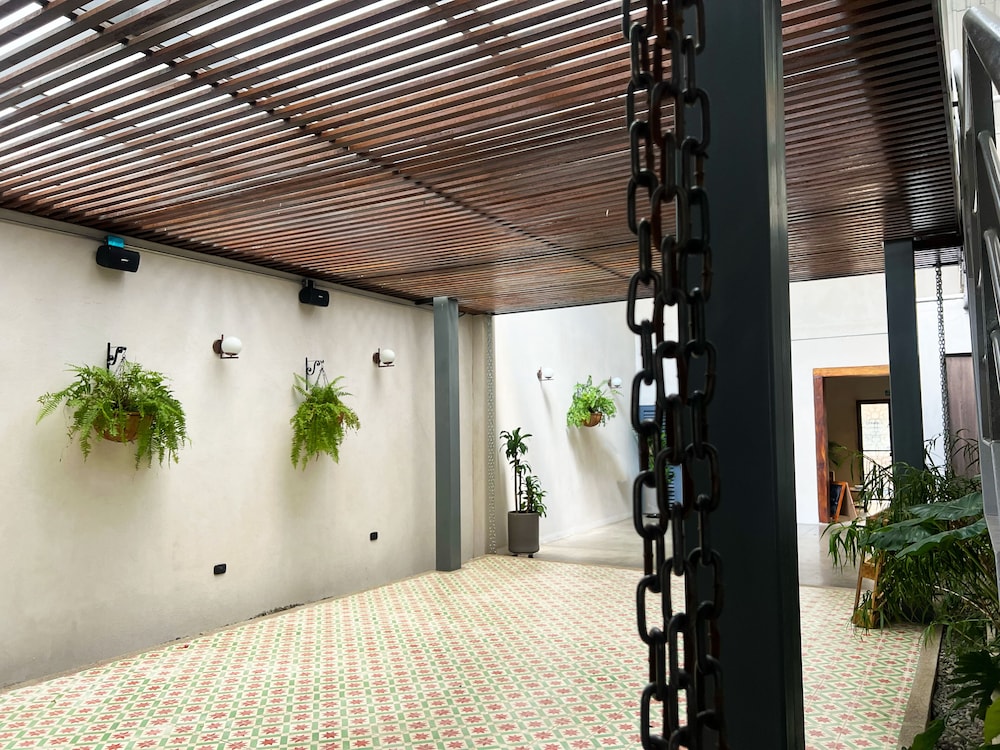 Capybara Hostel
