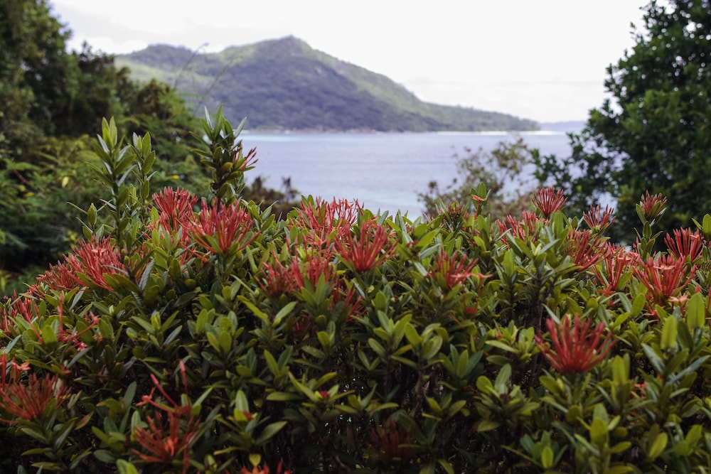 Colibri Guest House