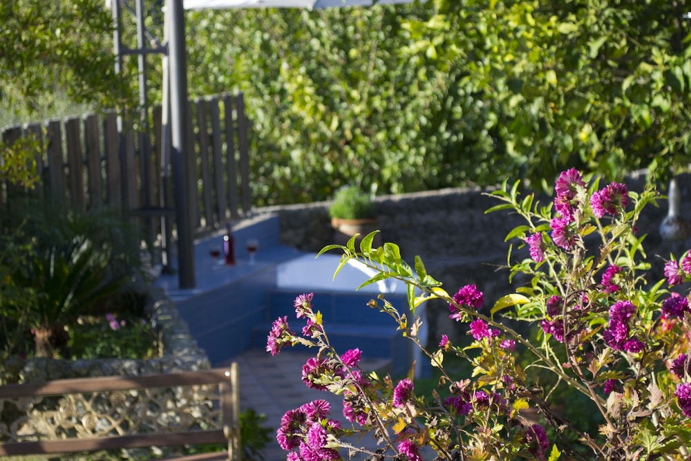 Villa Olive Tree