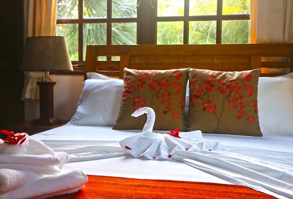 Villa Saint Sauveur photo 4