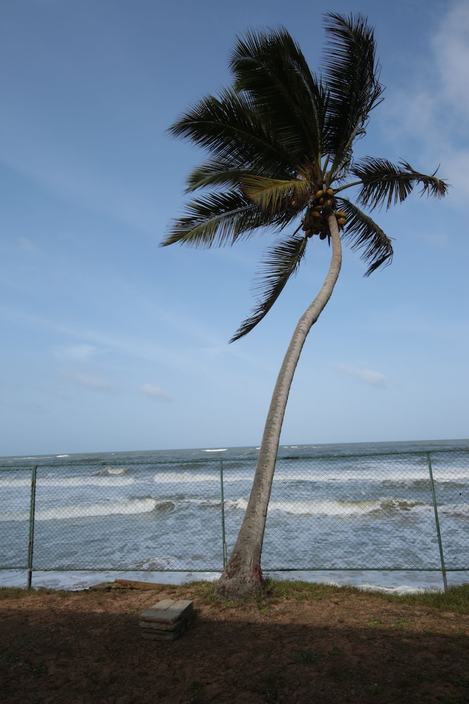 Ocean of Life Ayurvedic Resort