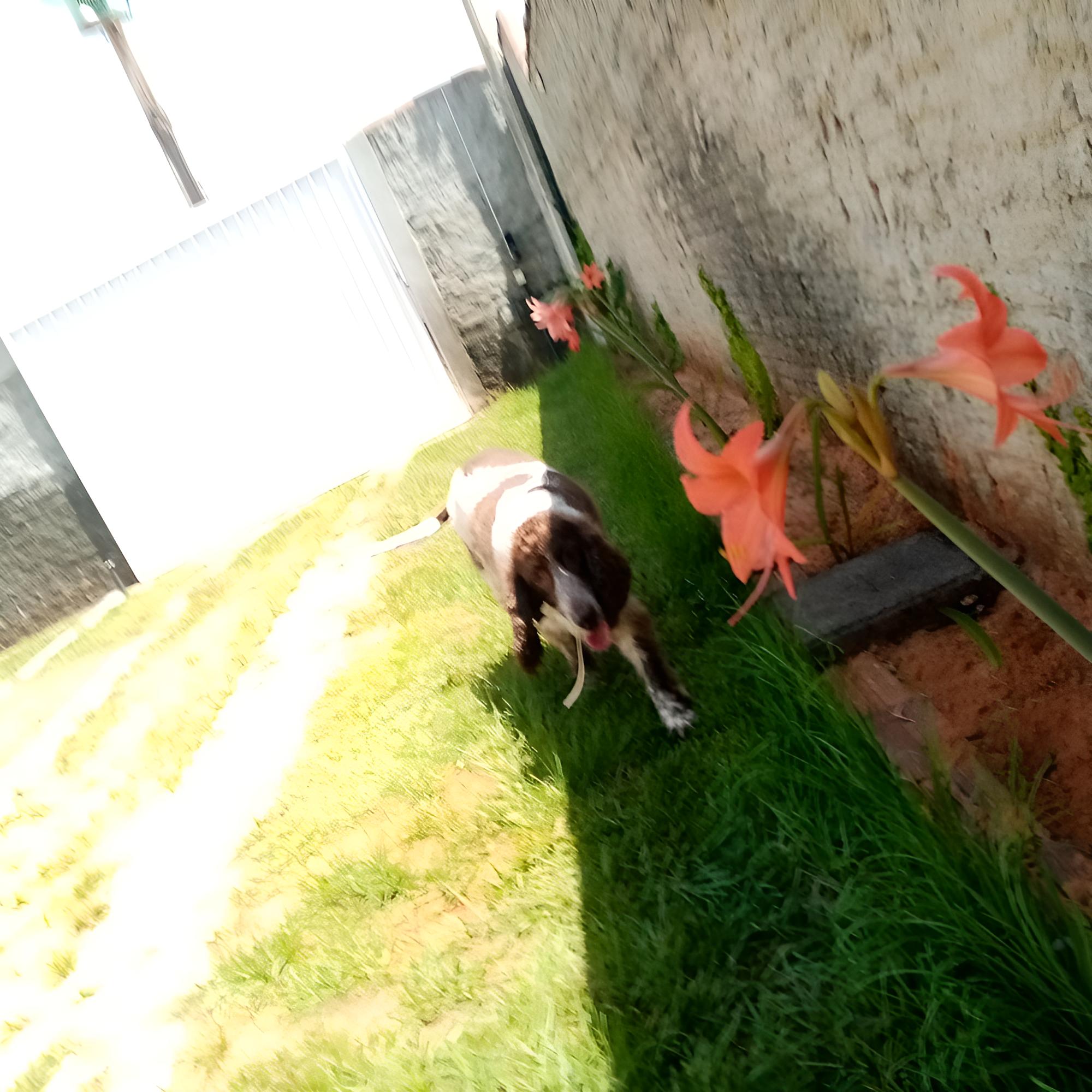 Photo 11