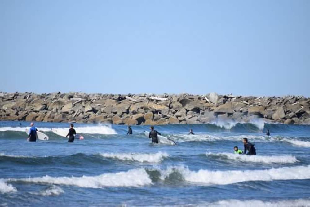 Islander Westport