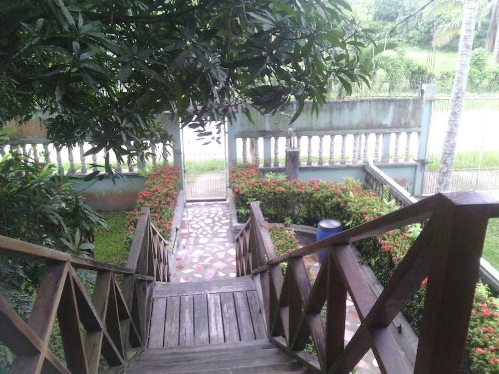 Photo 44