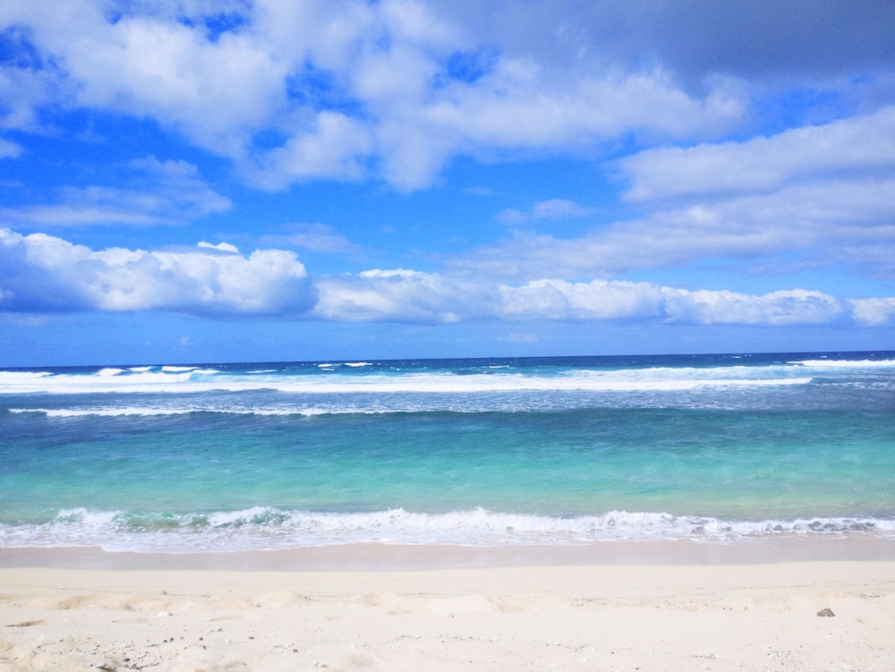 Tanna Evergreen Resort & Tours