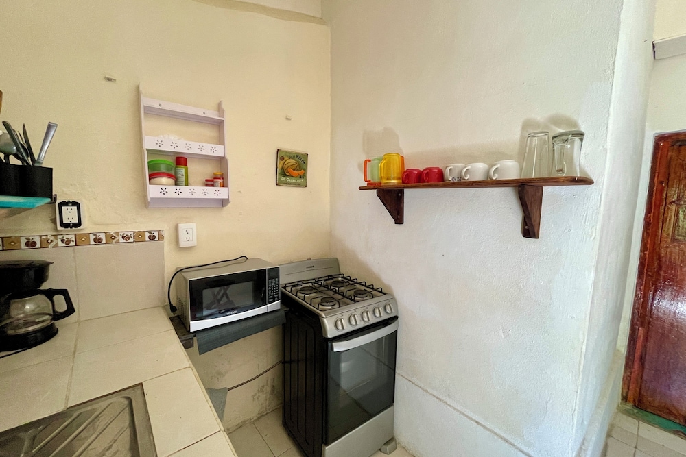 Cozy Apartment w Kitchen Downtown