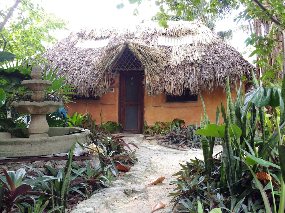Casitas Kinsol