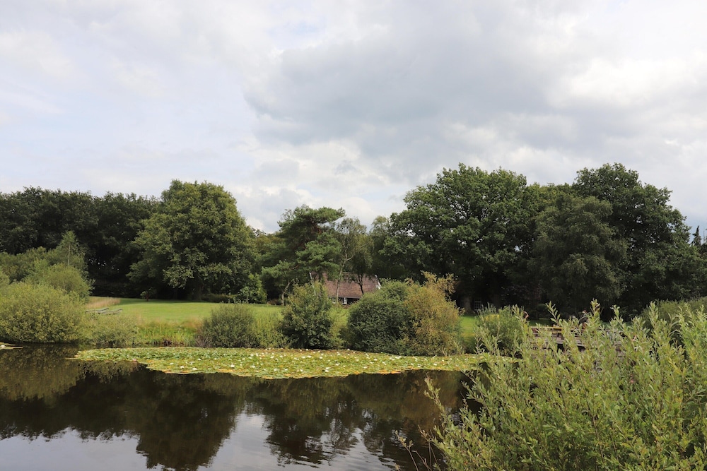 Villa in Ommen With Private Pond view 4