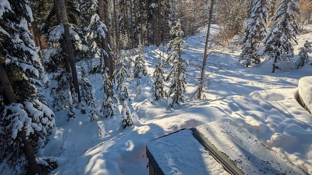 Sun Peaks Vacations - On the Run Chalet - Property Image 4