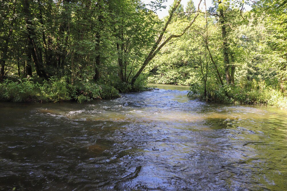 Ash Thwaite