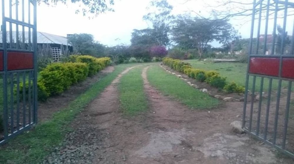 Photo 40