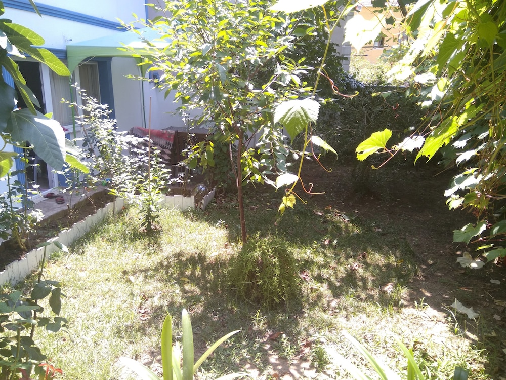 Agva Ayse Hanim Guesthouse