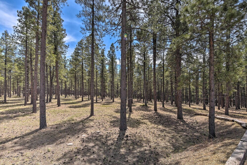 Grand Angel Fire Retreat w/ Hot Tub & Fire Pit! view 3